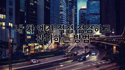 내 차 엔진, 직접 점검하고 관리하는 방법!